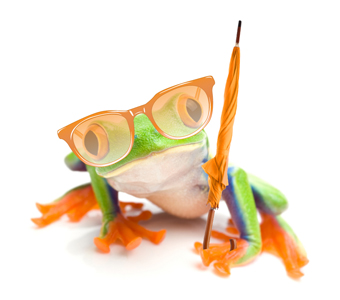frog